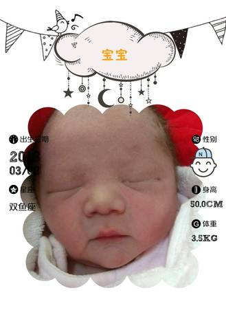 journal_insert_pic_962264458