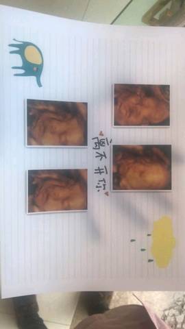 journal_insert_pic_962549135