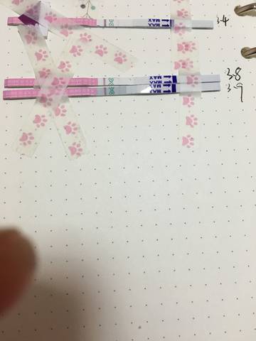 journal_insert_pic_962989369