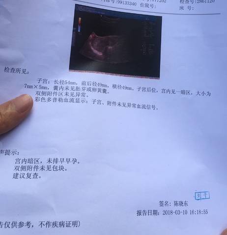 journal_insert_pic_963627277