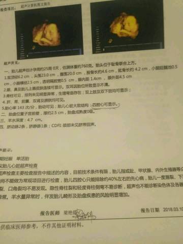 journal_insert_pic_964566334