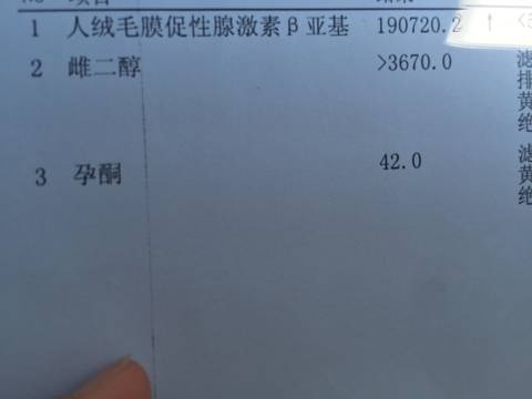journal_insert_pic_964225490