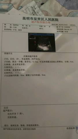 journal_insert_pic_963959771