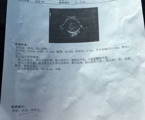 journal_insert_pic_964929777