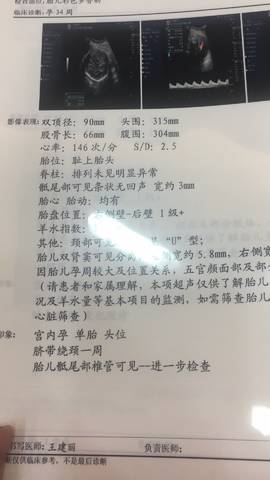 journal_insert_pic_965000278