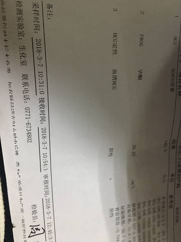 journal_insert_pic_965037715