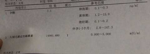 journal_insert_pic_965159881