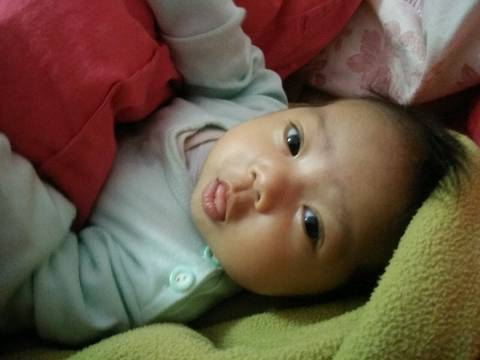 journal_insert_pic_965478345