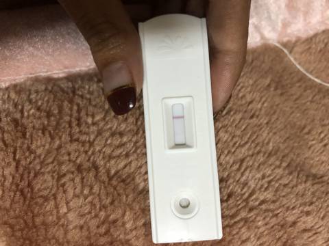 journal_insert_pic_964763235