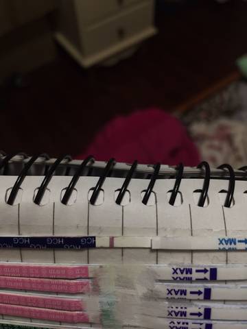 journal_insert_pic_966172449