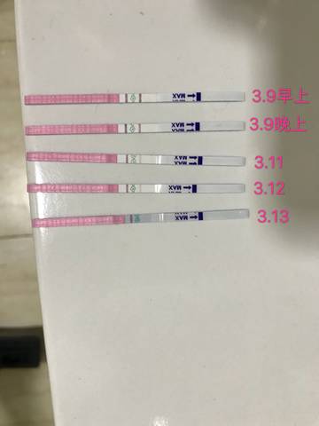 journal_insert_pic_966161214