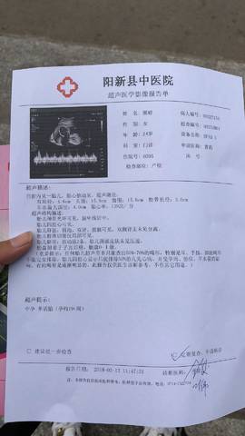 journal_insert_pic_966241641
