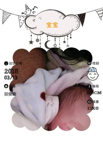 journal_insert_pic_966293051