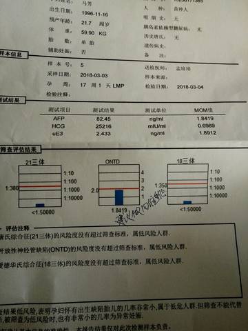 journal_insert_pic_966536037