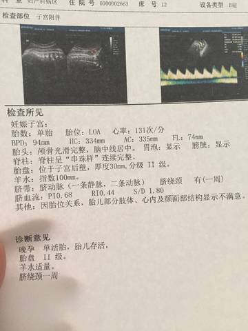 journal_insert_pic_967291516