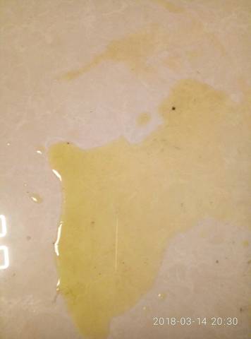 journal_insert_pic_967178689