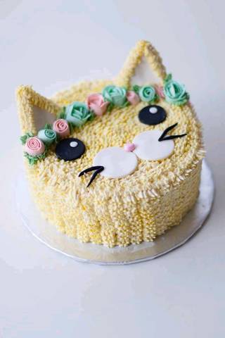 journal_insert_pic_968158545