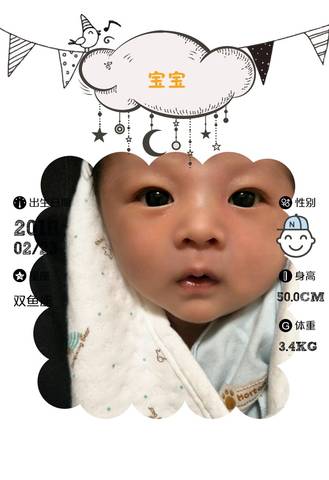 journal_insert_pic_968471379