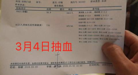 journal_insert_pic_968192292