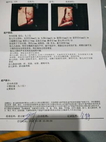 journal_insert_pic_969157567