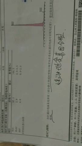 journal_insert_pic_969950918