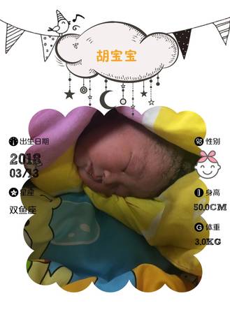 journal_insert_pic_969673705
