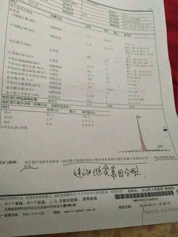 journal_insert_pic_969950858