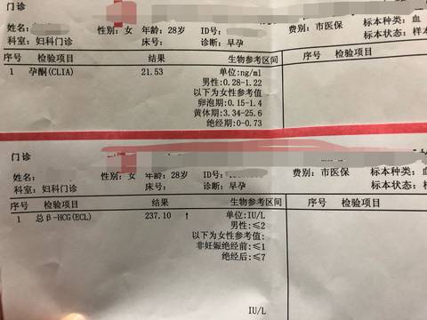 journal_insert_pic_969653692