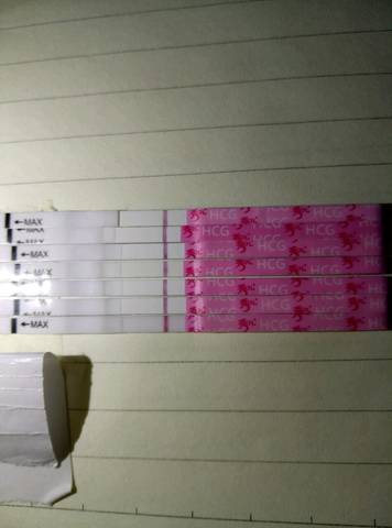 journal_insert_pic_970139438