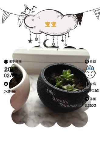 journal_insert_pic_970275214