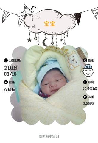 journal_insert_pic_970212939