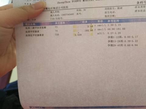 journal_insert_pic_971245568