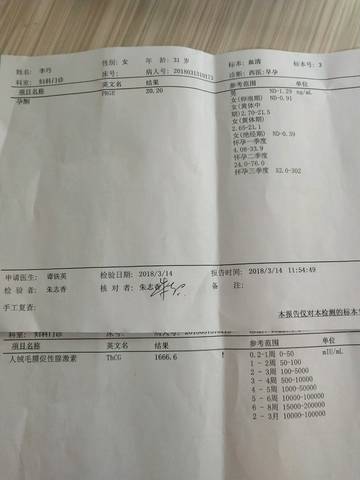 journal_insert_pic_971884133