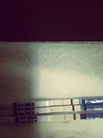 journal_insert_pic_971531432