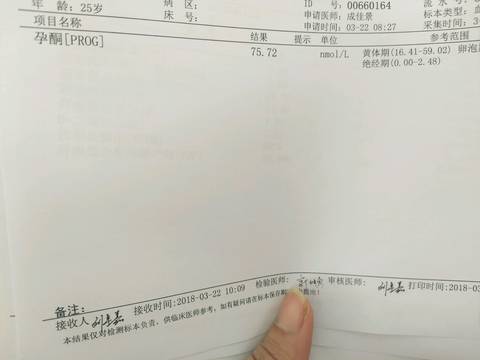 journal_insert_pic_972670580
