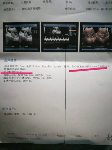 journal_insert_pic_972355371