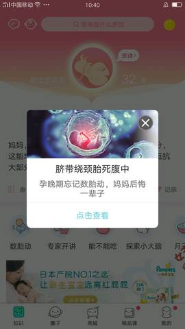 journal_insert_pic_973133681