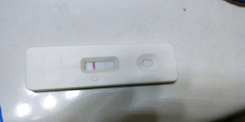 journal_insert_pic_973604163