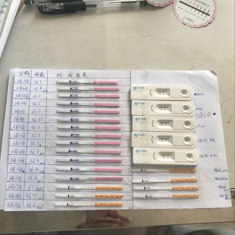 journal_insert_pic_974446687