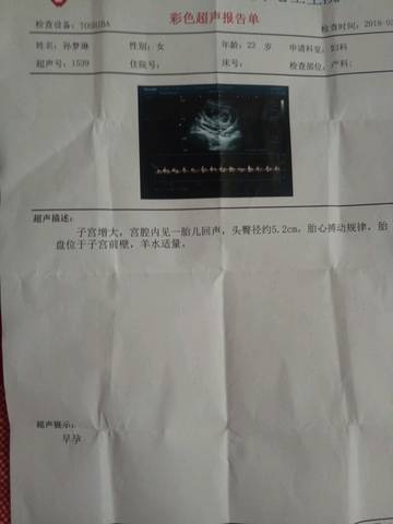 journal_insert_pic_974474244