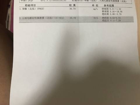 journal_insert_pic_975061903