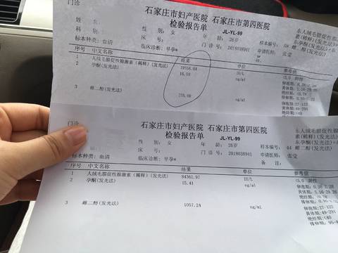 journal_insert_pic_974420318