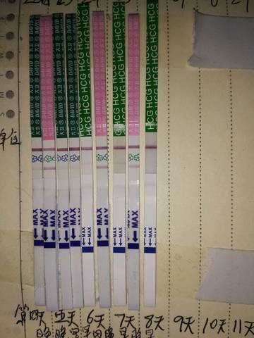 journal_insert_pic_975175030