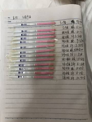 journal_insert_pic_975769189