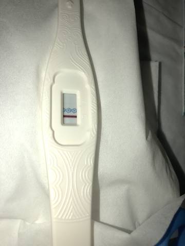 journal_insert_pic_975747401