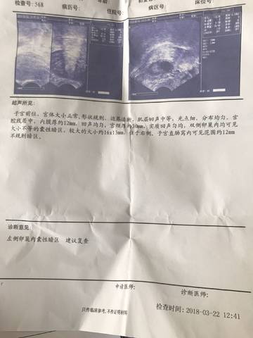 journal_insert_pic_976029583