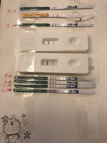 journal_insert_pic_976703629