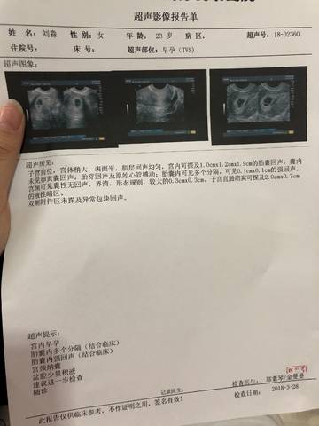 journal_insert_pic_977210109