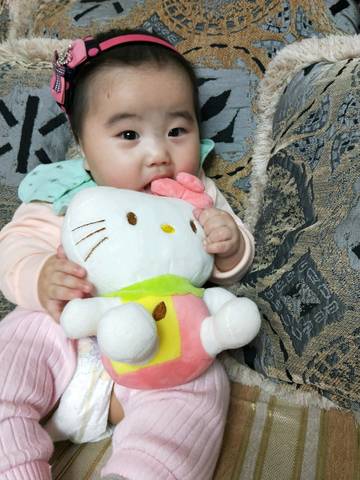 journal_insert_pic_978644012