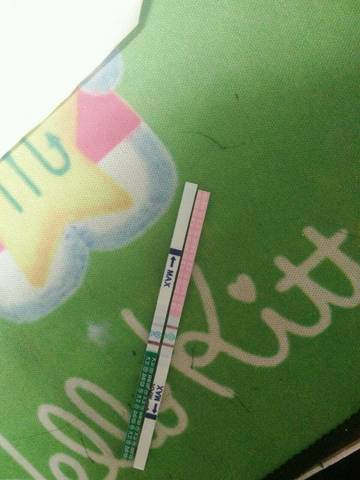 journal_insert_pic_978258392